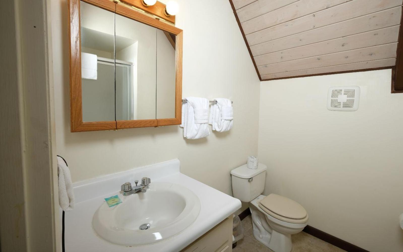 Cozy Bear 856 Villa แกตลิงเบิร์ก ภายนอก รูปภาพ